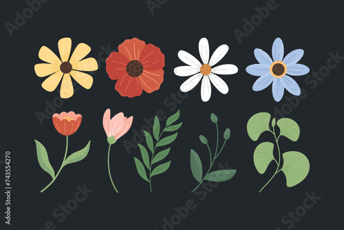 Set of Retro Flower Illustration