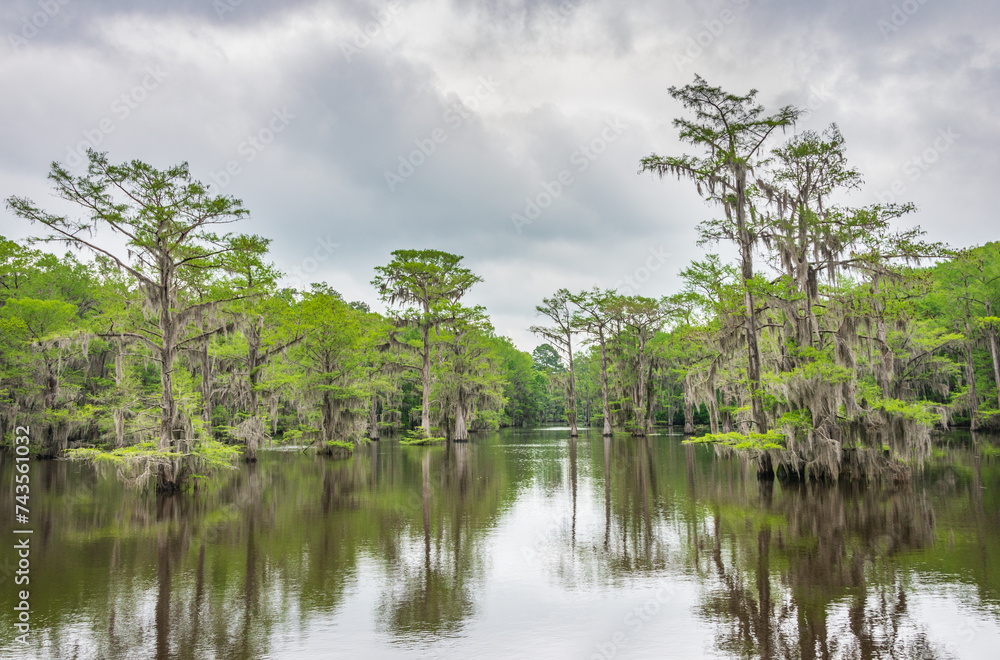 Caddo Lake State Park, in the piney woods ecoregion of East Texas, USA