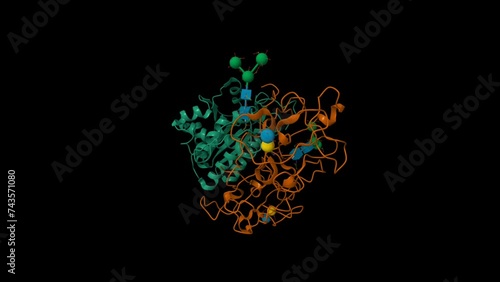 Crystallographic refinement of ricin. Animated 3D cartoon and Gaussian surface models. PDB 2aai, black background.