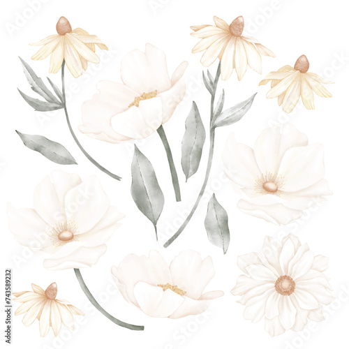 A set of different chamomile flowers and leaves © PawStudioArt