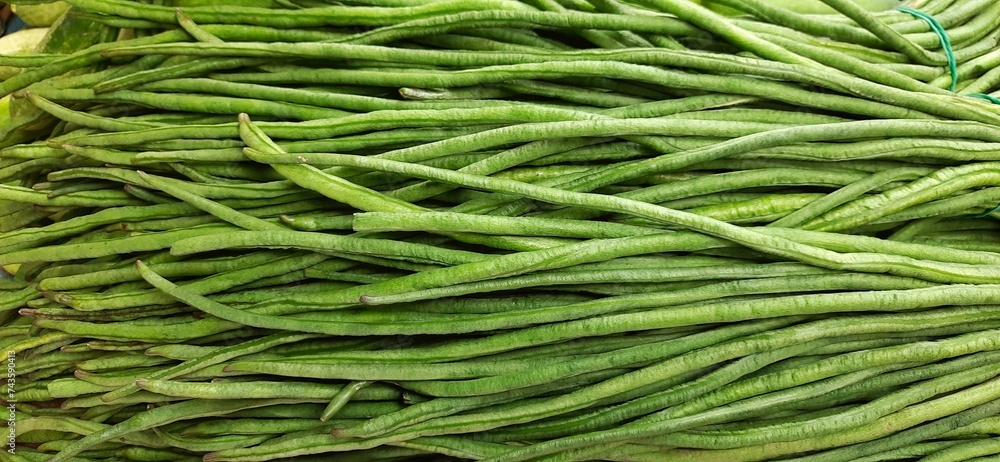 Green long beans bunched. Chinese Long Beans or kacang panjang. Ready sold in traditional market Green long beans bunched. Chinese Long Beans or kacang panjang. Ready sold in traditional market