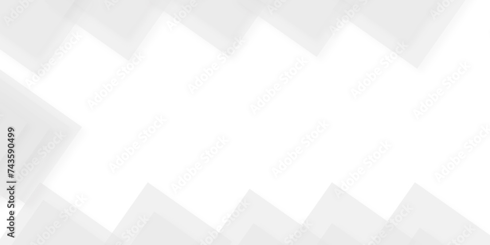 Fototapeta premium Abstract background with lines and Abstract white Geometric banner design background. Decorative web layout or poster, banner. White, grey background.