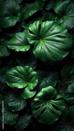 Dark botanical background from green big smooth leaves  green tropical. Generative AI
