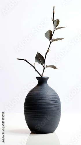 Black Vase With Plant
