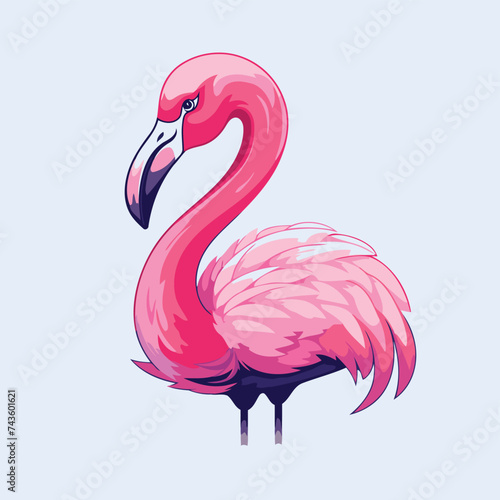 Flamingo vector illustration. Pink flamingo isolated on blue background.