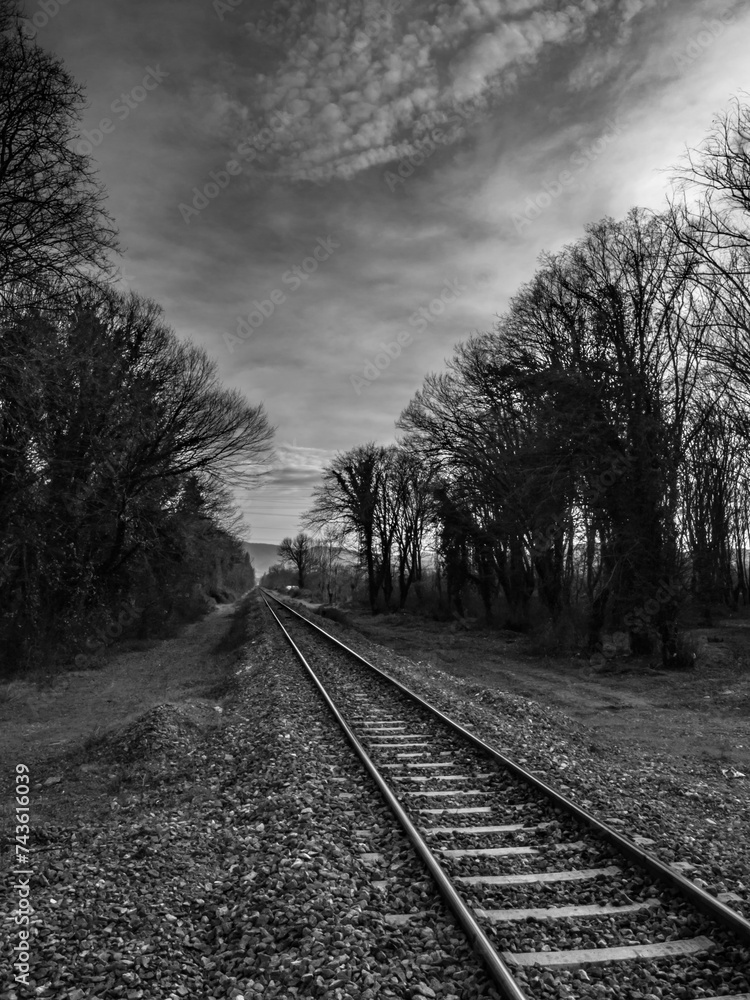 Obraz premium OLYMPUS DIGITAL CAMERA