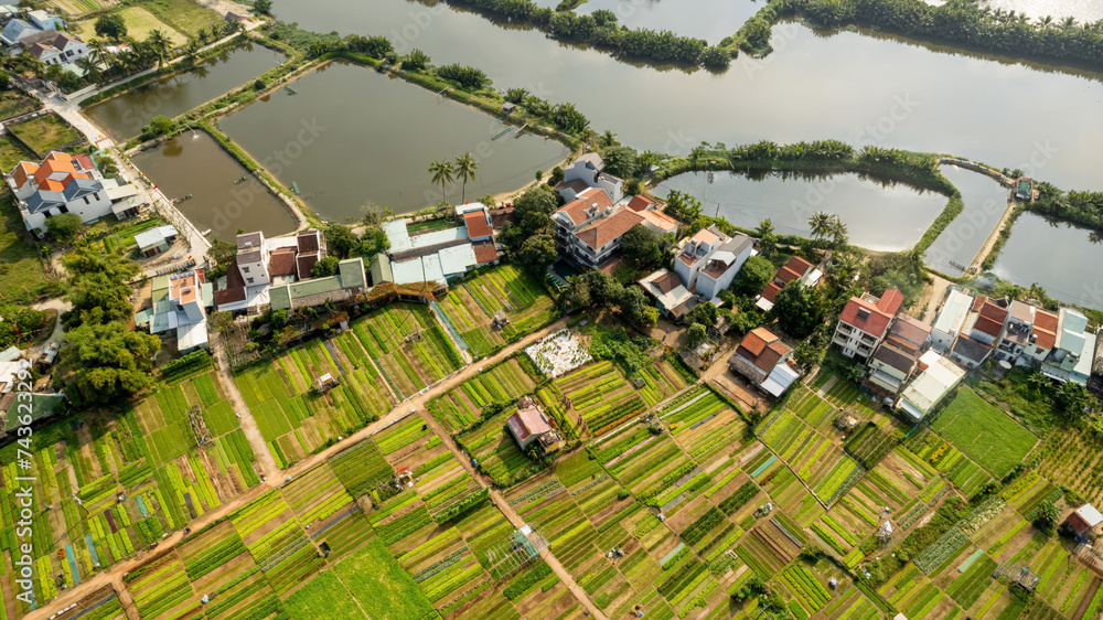 Aerial view of an Asian rural landscape with fish ponds, patchwork agricultural fields, and scattered houses, showcasing verdant farming patches contrasted by water bodies