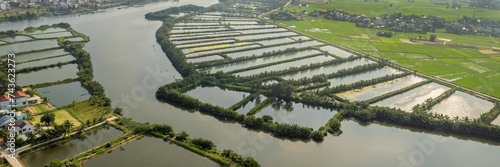 Aerial view of expansive fish farming aquaculture ponds amidst green rice fields, showcasing sustainable agriculture practices in a rural landscape