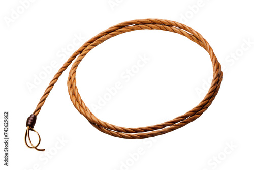 Cowboy Lasso Isolated On Transparent Background