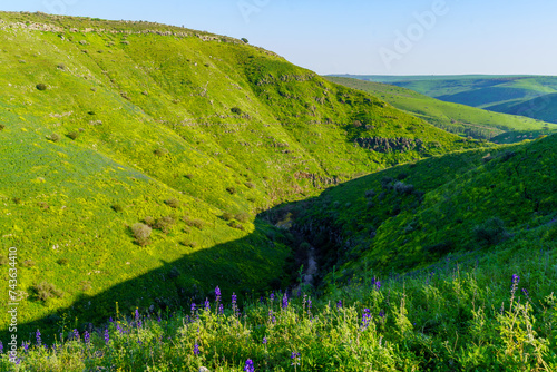 Slika na platnu Tabor Stream landscape, with winter wildflowers