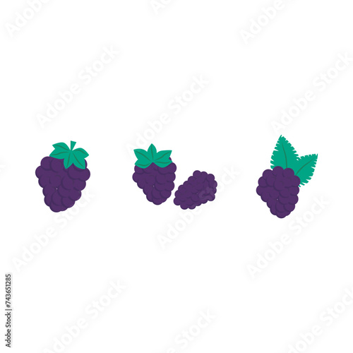 Set of 3 colorful blackberry icons, simple vector cartoon style illustration elements for product or web design.