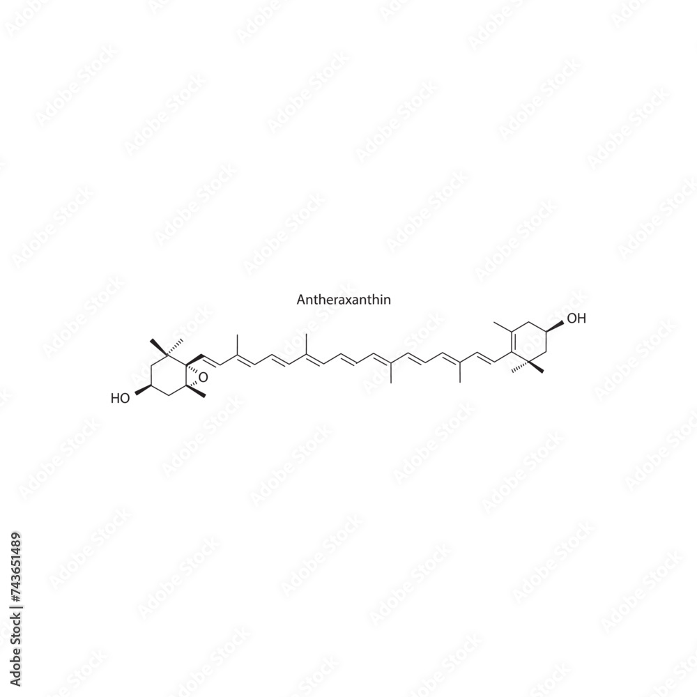 Antheraxanthin skeletal structure diagram.Caratenoid compound molecule scientific illustration on white background.