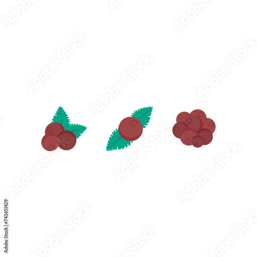 Set of 3 colorful Lingonberry icons, simple vector cartoon style illustration elements for product or web design.