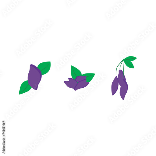 Set of 3 colorful Haskap Berry icons, simple vector cartoon style illustration elements for product or web design.
