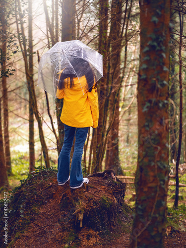Teenager girl in yellow jacket, blue jeans and translucent umbrella standing on a tree trunk in a dense forest. Tourism to nature. Selective focus. Outdoor activity.