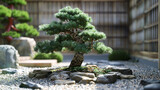 Dwarf Alberta Spruce in a zen garden, employing cinematic framing to capture the tranquility and natural colors