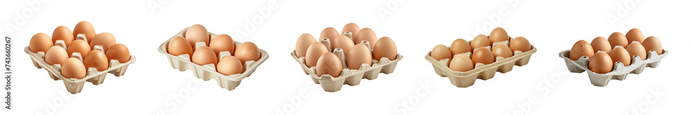Collection of eggs on paper egg tray isolated on a transparent background, PNG Collection of eggs on paper egg tray isolated on a transparent background, PNG