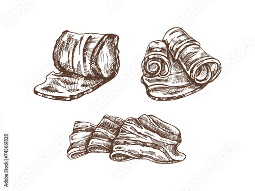 Hand-drawn vector sketch set of bacon, hamon or pork meat, ham slices. Italian prosciutto vintage sketch. Butcher shop. Great for label, restaurant menu. Engraved image..