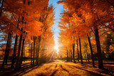 Golden Hues of Fall: An Enchanting Display of Transient Autumn Splendor Against the Radiant Blue Sky