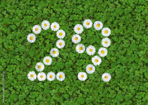 number written with daisies (bellis perennis) on green clover photo