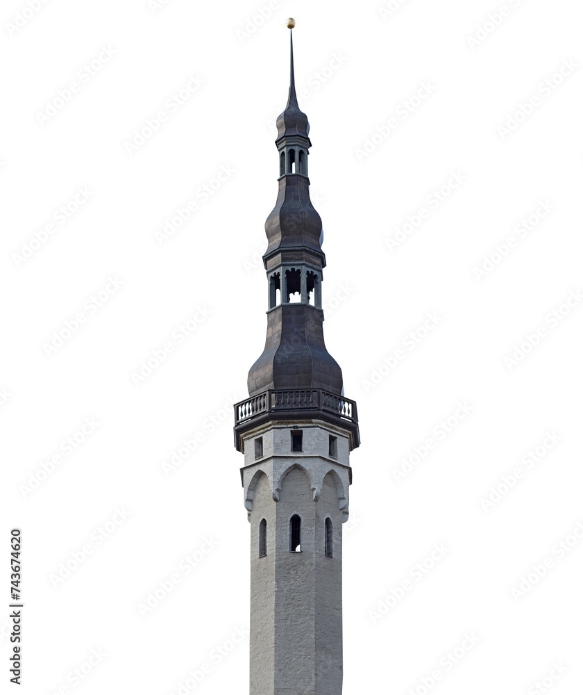 Obraz premium Gothic town hall isolated
