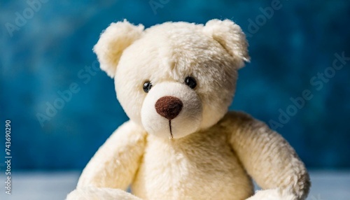 Beautiful teddy bear, plush toy against bright blue backdrop. © hardvicore