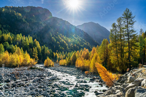 Goldener Oktober im Val Morteratsch, Pontresina, Engadin, Graubünden, Schweiz photo