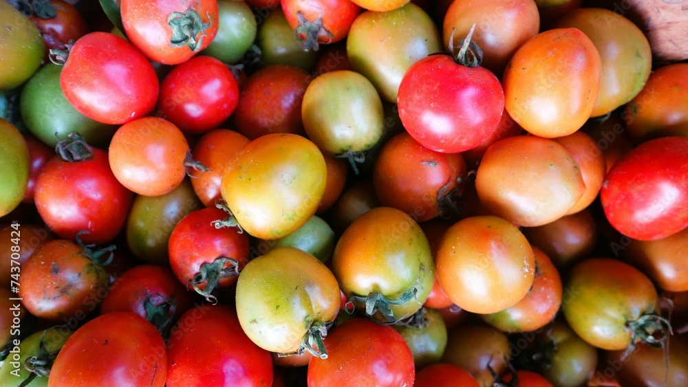 Top view ripe tomatoes in container Top view ripe tomatoes in container