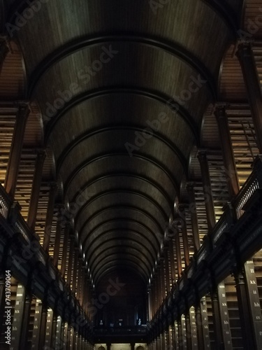 Library Ireland