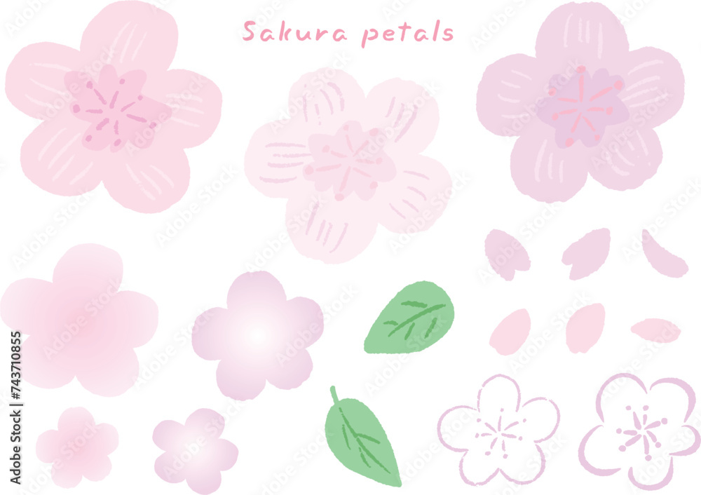 Pink cherry blossom petals and leaves, cute hand drawn illustration set / ピンクの桜の花びらと葉っぱ、かわいい手描きイラストセット