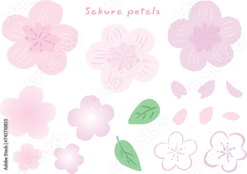 Pink cherry blossom petals and leaves, cute hand drawn illustration set / ピンクの桜の花びらと葉っぱ、かわいい手描きイラストセット