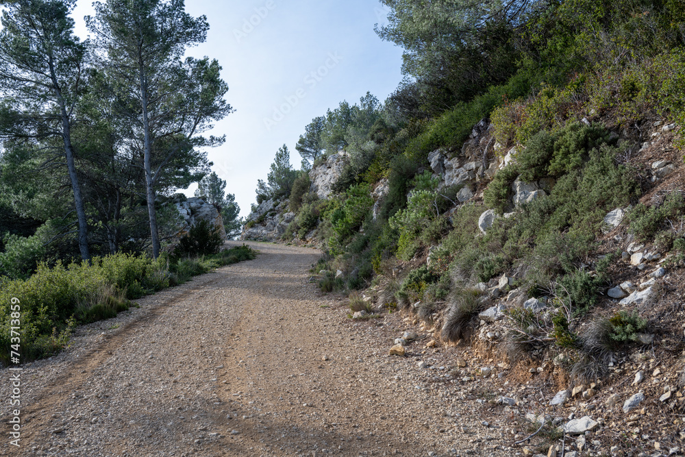 Fototapeta premium Winter landscape in the Alpilles, Saint Rémy de Provence, France. Rural road or path. Stones. Garrigue.