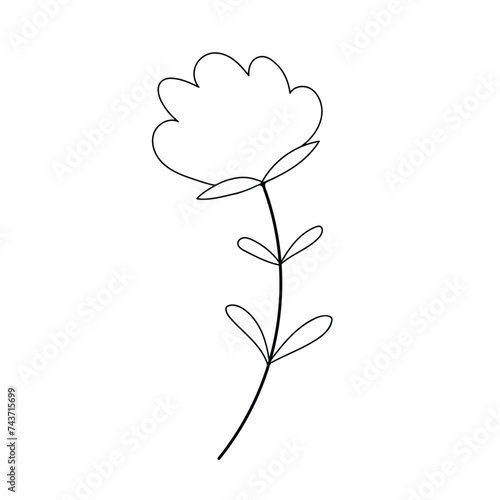 Hand sketched floral design element