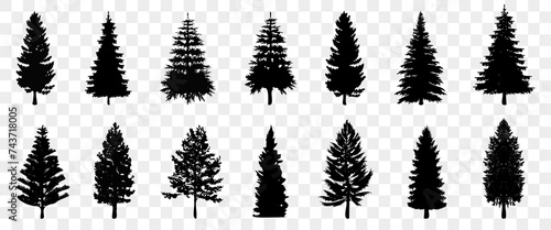 Conifer trees silhouette collection. Set of bundle of trees silhouette. Spruce tree silhouette
