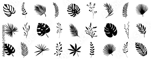 Tropical leaf and flower branch silhouette collection. Set of palm leaves and tree branch silhouettes isolated on white background. Beautiful palm tree leaf silhouette