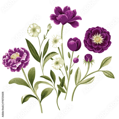 vector vintage botany flower © dejanira