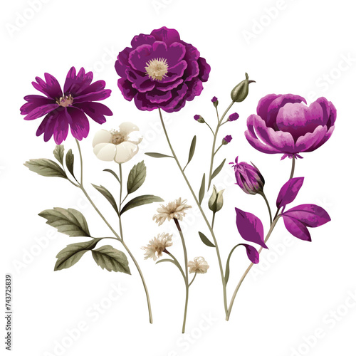 Fototapeta Naklejka Na Ścianę i Meble -  vector vintage botany flower