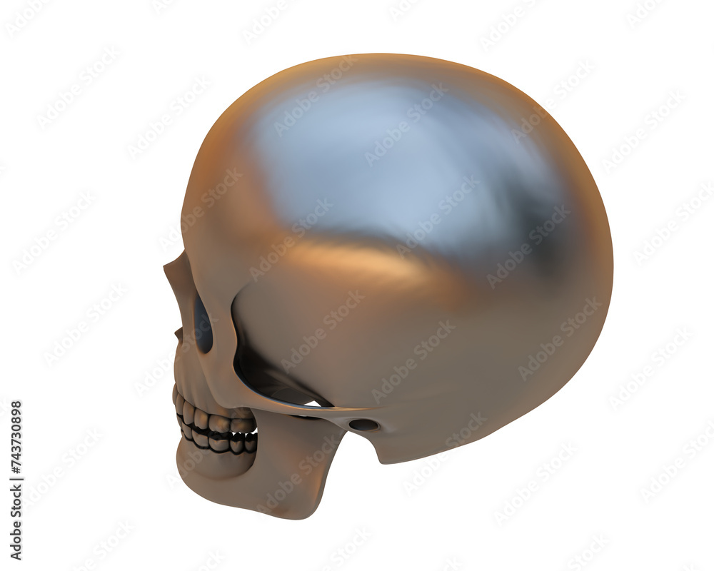 Skull isolated on background. 3d rendering - illustration Skull isolated on background. 3d rendering - illustration