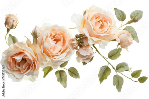 Peach artificial roses arrangement isolated on white background.