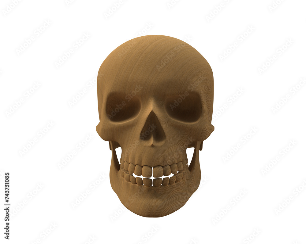 Fototapeta premium Skull isolated on background. 3d rendering - illustration