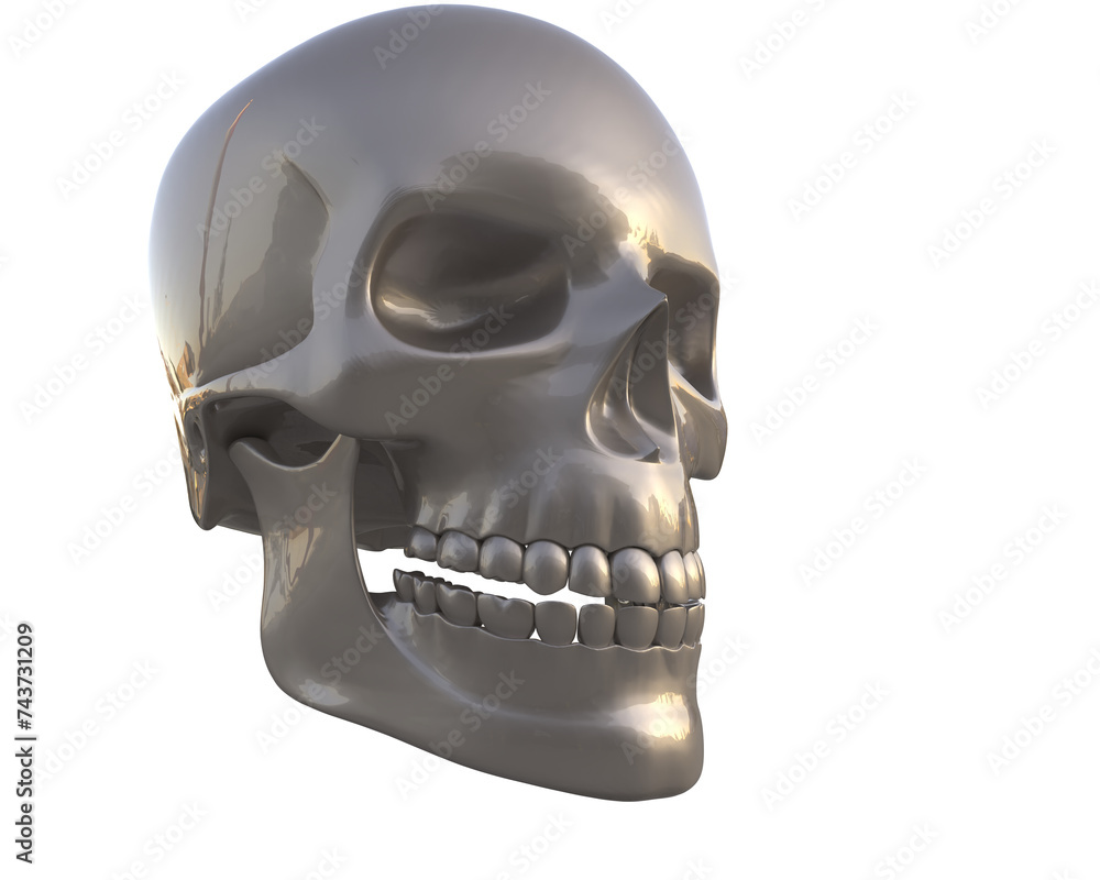 Skull isolated on background. 3d rendering - illustration Skull isolated on background. 3d rendering - illustration