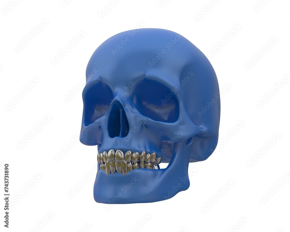 Skull isolated on background. 3d rendering - illustration Skull isolated on background. 3d rendering - illustration