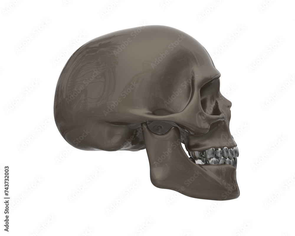 Obraz premium Skull isolated on background. 3d rendering - illustration