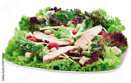 prato com salada de folhas verdes, fatias de peito de frango grelhado e tomate isolado em fundo transparente