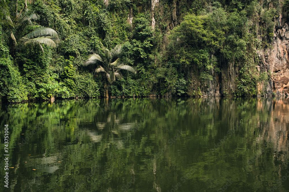 Serene lake in Malaysian tropical rainforest Serene lake in Malaysian tropical rainforest