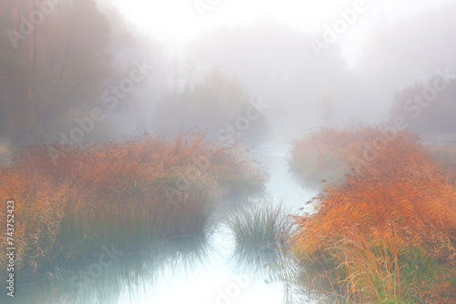 Ethereal mist envelops a tranquil river with churrero reed clusters and riparian vegetation in soft morning light photo