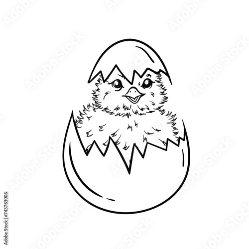 Children's coloring book with a small newborn chicken in an eggshell. Black and white illustration for a card or print