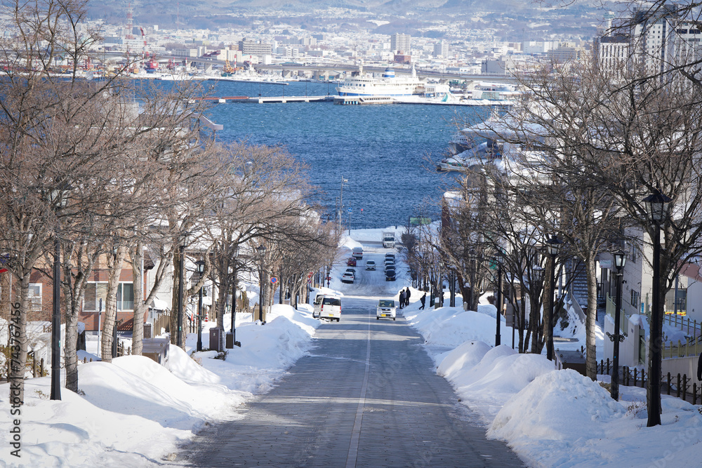 enjoy traveling Hakodate in snow winter season with hachiman zaka slope ,rope way cable car , tropical botanical  ,  