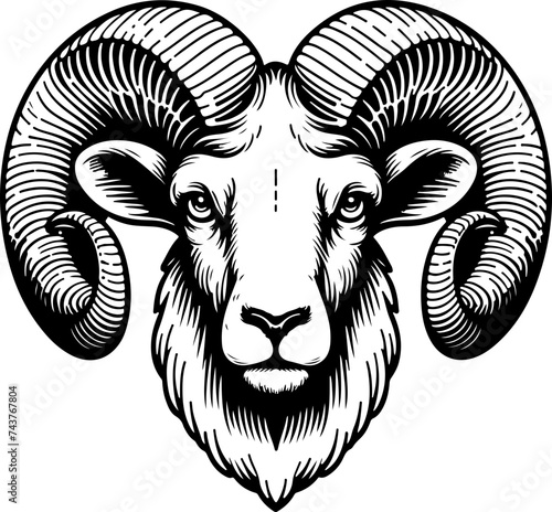 aries ram astrology zodiac sign