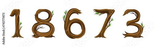 Forest Woody Number Brown with Branch Vector Set